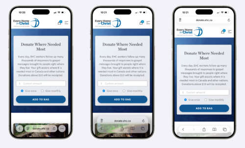 Three screenshots of the e-commerce page on a non-profit's website in Safari on iOS 18. In the left screenshot, Safari uses the default view. In the middle screenshot, Safari has more controls on the bottom. In the right screenshot, Safari's controls are split between the top and bottom of the viewport.